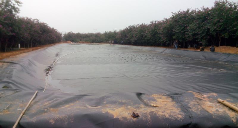 黑膜沼氣池