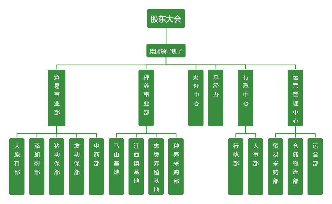 菲賽迪集團架構圖